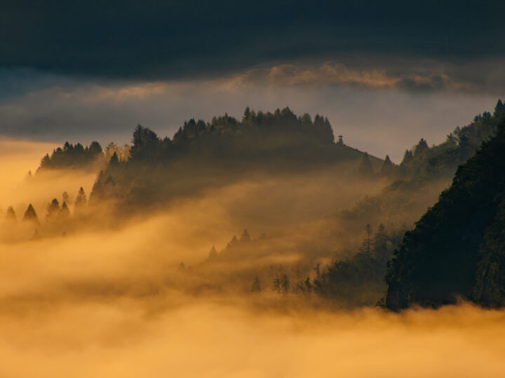 Sloweniens Vielfalt im Fokus © Florian Wenzel