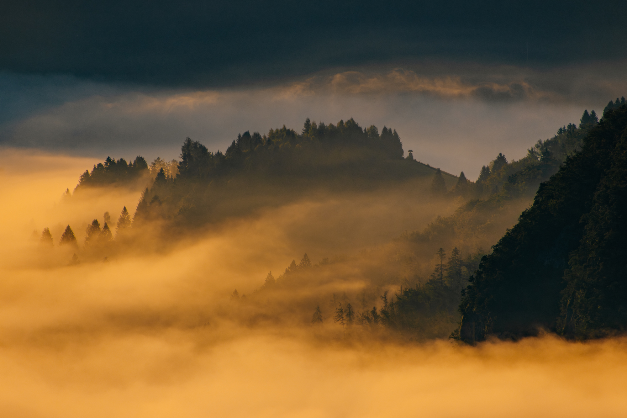 Sloweniens Vielfalt im Fokus © Florian Wenzel