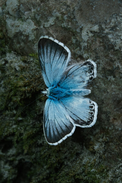 Sloweniens Vielfalt im Fokus © Florian Wenzel