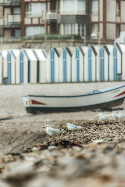 Mit dem Sigma 16-300mm unterwegs in der Normandie © Maike Wittreck