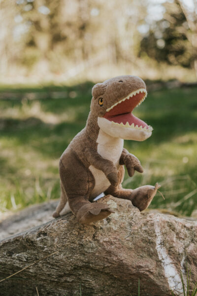 Dinostein: Familienshooting mit 18-50mm © Désirée Gehringer