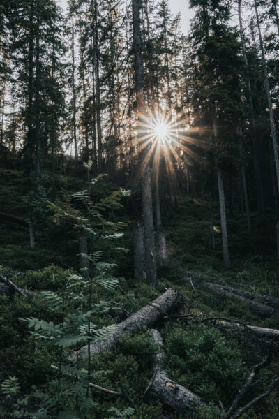 Skandinavische Lichtstimmung © Julia & Tim Glaeser